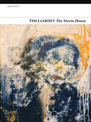 cover image of The Storm House